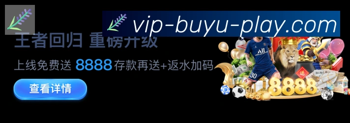 未来规划